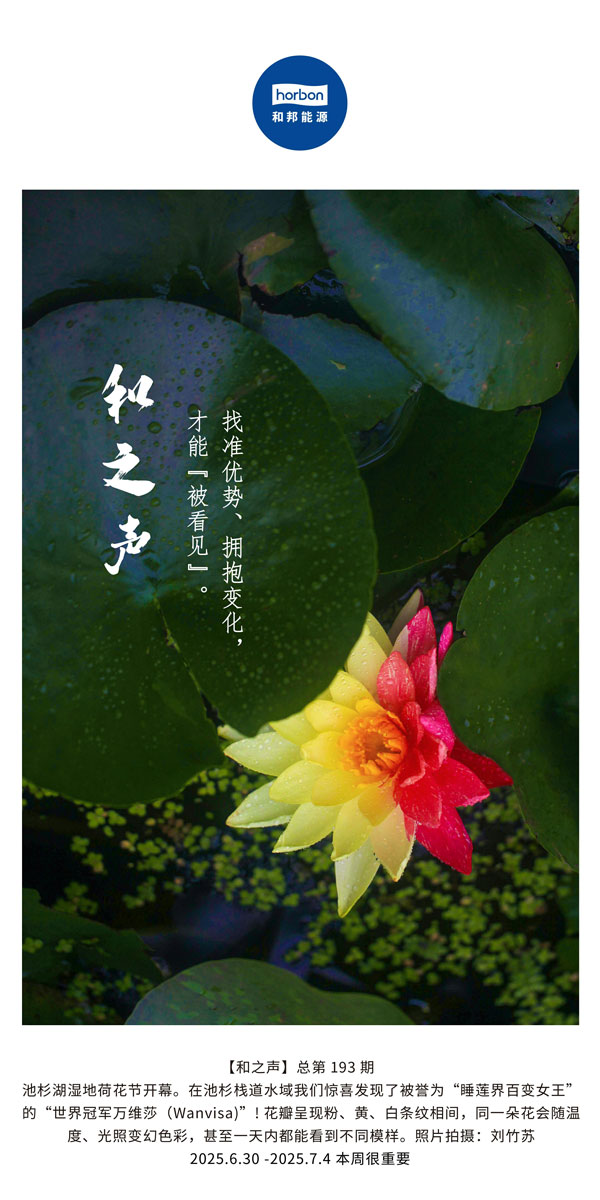 【和之声】找准优势、拥抱变动，能力“被看见”。(总第193期）--2025.6中文导出季度推送用.jpg